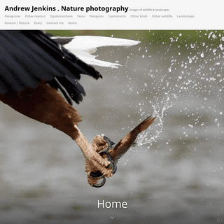 Andrew Jenkins . Nature photography – Images of wildlife & landscapes