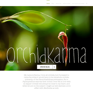 orchidkarma – an orchid blog