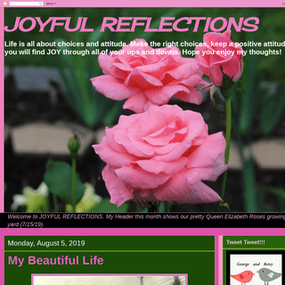 JOYFUL REFLECTIONS