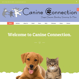 Canine Connection – Doggie Daycare, Grooming, and More