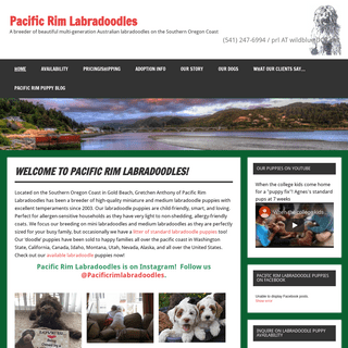 Labradoodle puppies for sale |Breeder Oregon | Pacific Coast