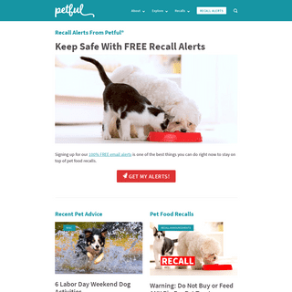 Petful — Helping Pets Live Happier Lives