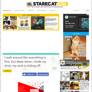 StareCat.com - memes, funny pictures, GIFs and LOL pics