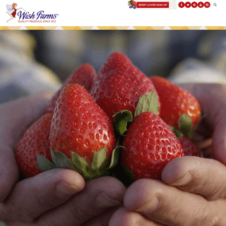 Plant City, Florida Based Year-Round Berry Supplier | Wish Farms
