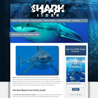 SharkSider.com - Learn All About Sharks & Shark Conservation Here!