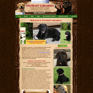 Tru-Heart Labradors | Breeder of Quality Lab Puppies in NE Florida