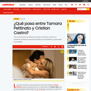 A complete backup of exitoina.perfil.com/noticias/corazon/que-pasa-entre-tamara-pettinato-y-cristian-castro.phtml