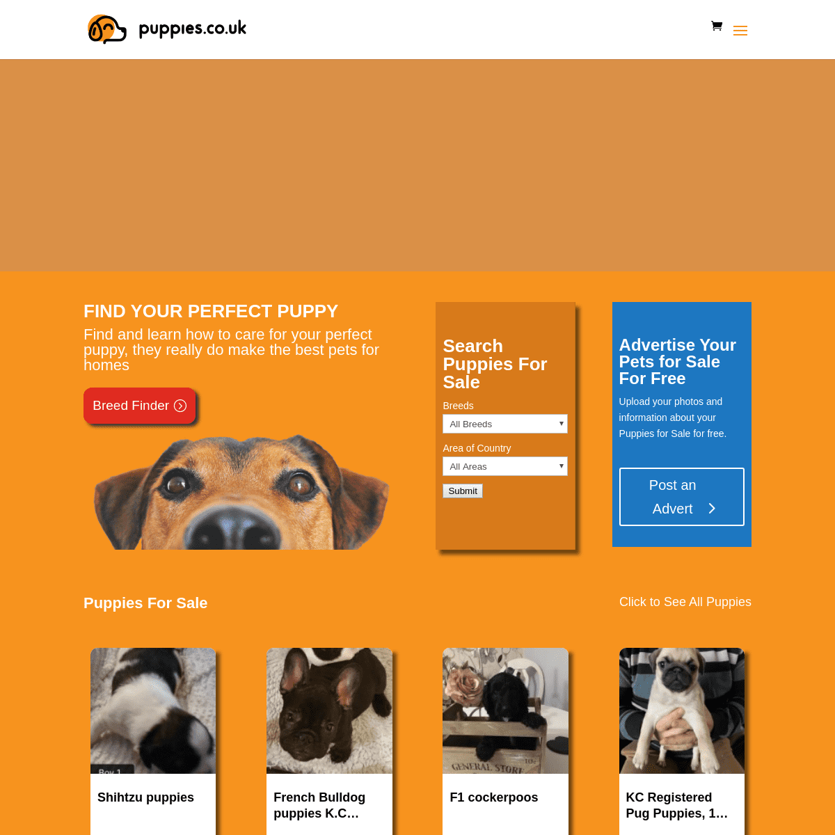 A complete backup of puppies.co.uk