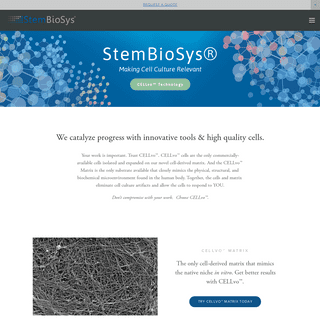 A complete backup of stembiosys.com