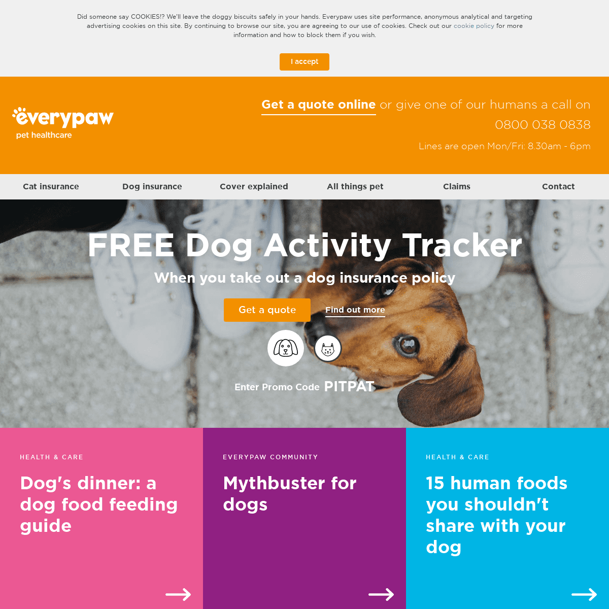 A complete backup of everypaw.com