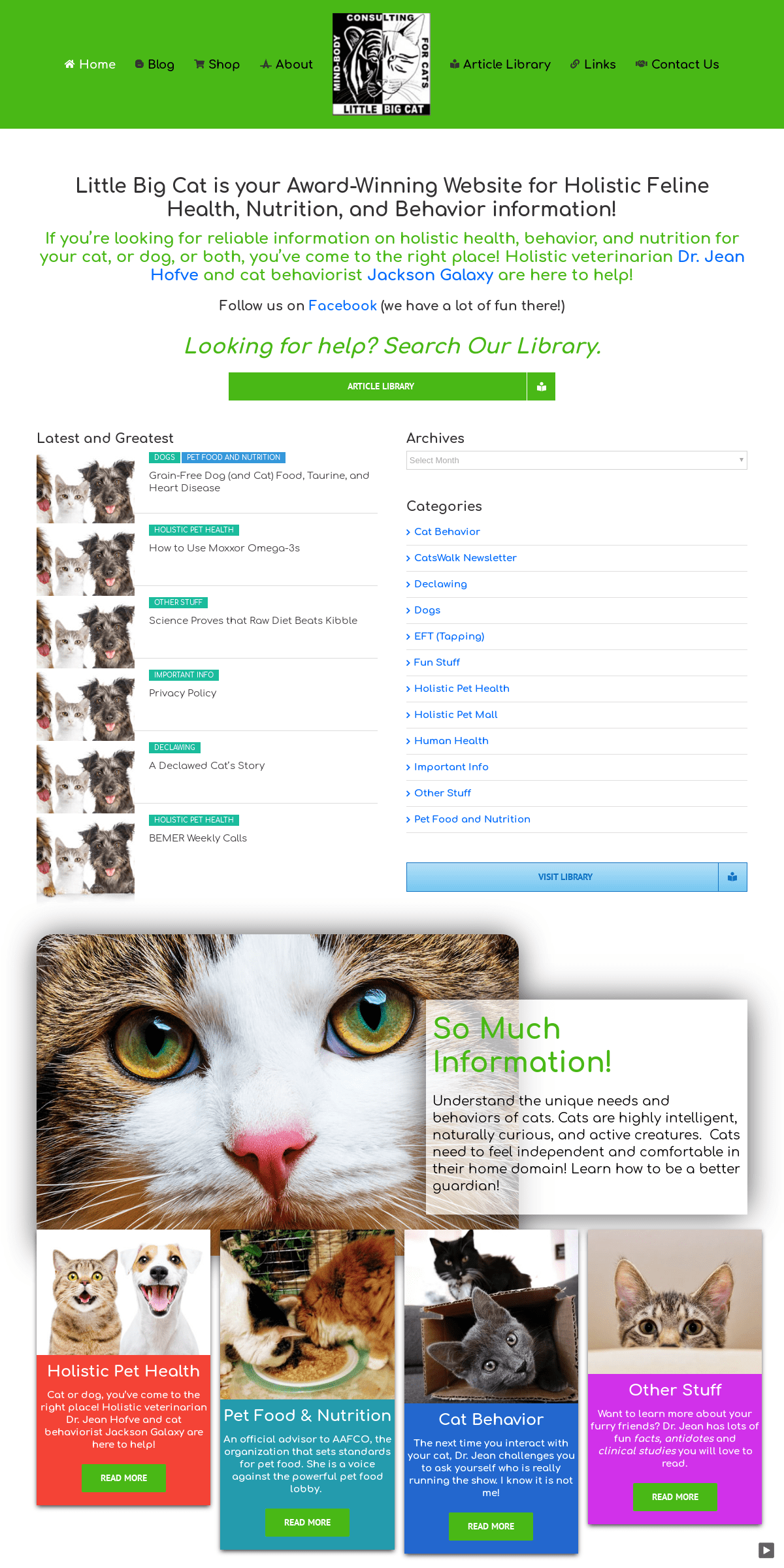 A complete backup of littlebigcat.com