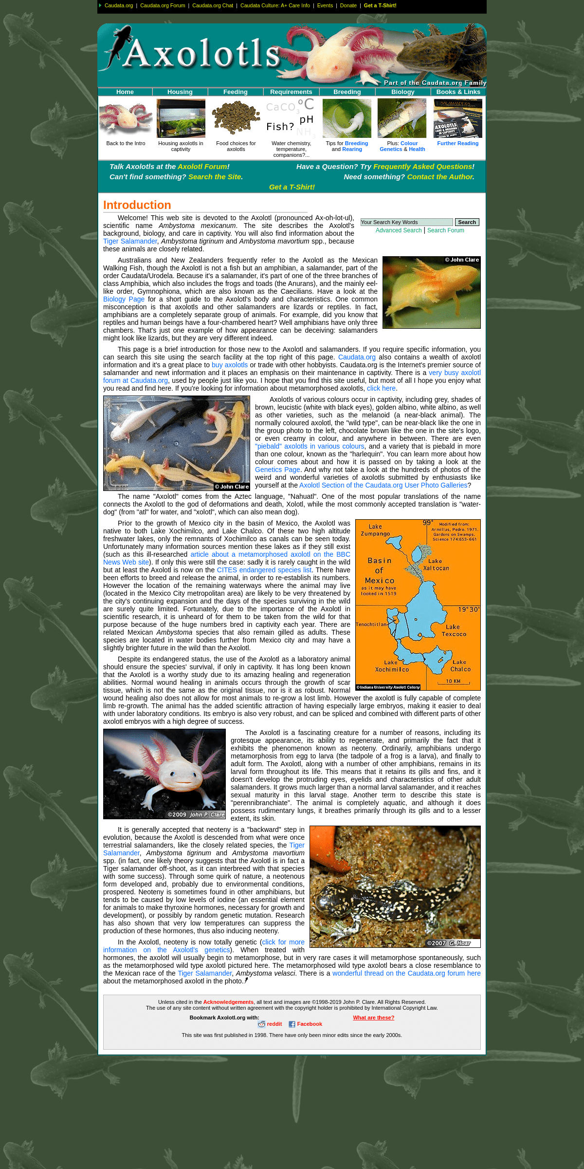 A complete backup of axolotl.org