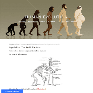 A complete backup of humanevolutionb36.weebly.com