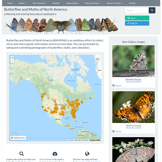 Butterflies and Moths of North America - collecting and sharing data about Lepidoptera
