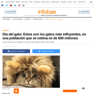 A complete backup of www.infobae.com/america/mexico/2020/02/20/dia-del-gato-estos-son-los-gatos-mas-influyentes-en-una-poblacion