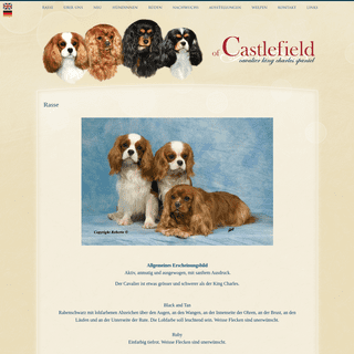 A complete backup of cavalier-hundezucht.ch