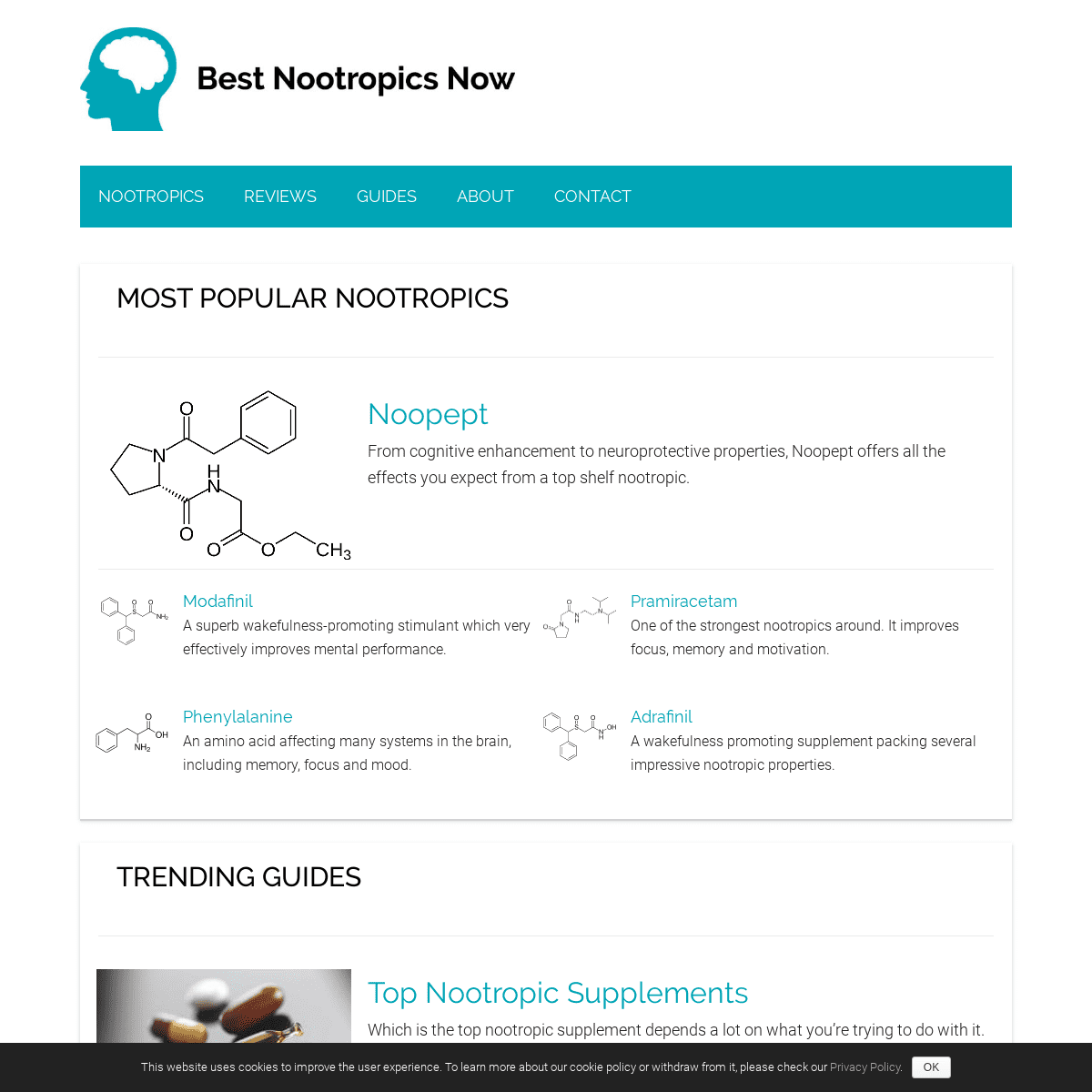 A complete backup of bestnootropicsnow.com