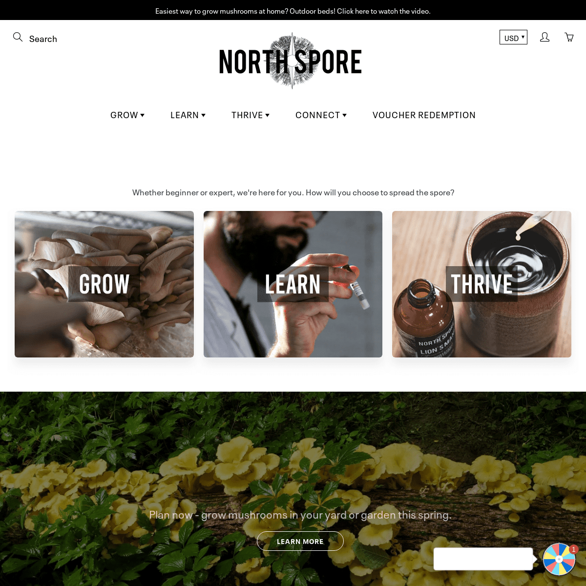 A complete backup of northspore.com