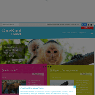 A complete backup of onekind.org