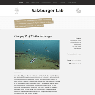 A complete backup of salzburgerlab.org