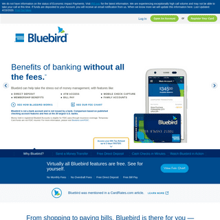 A complete backup of bluebird.com