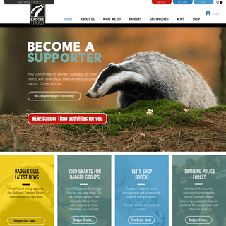Badgers - Badger Wildlife Charity UK - Badger Trust