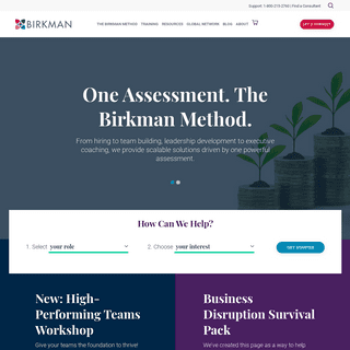 A complete backup of birkman.com
