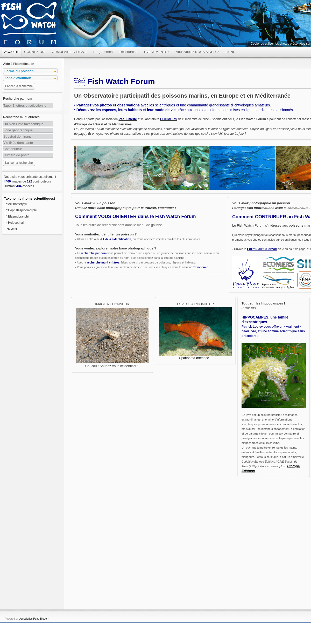 A complete backup of fish-watch.org