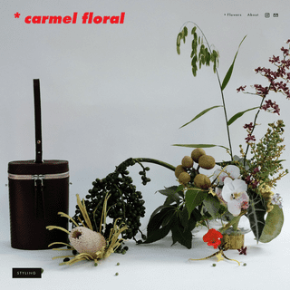 A complete backup of carmelfloral.com