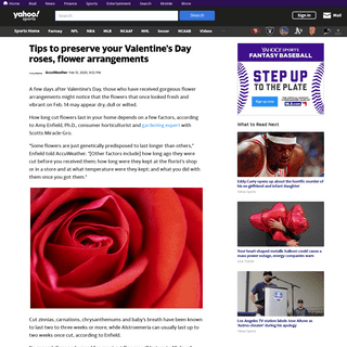 A complete backup of sports.yahoo.com/tips-preserve-valentines-day-roses-215210118.html