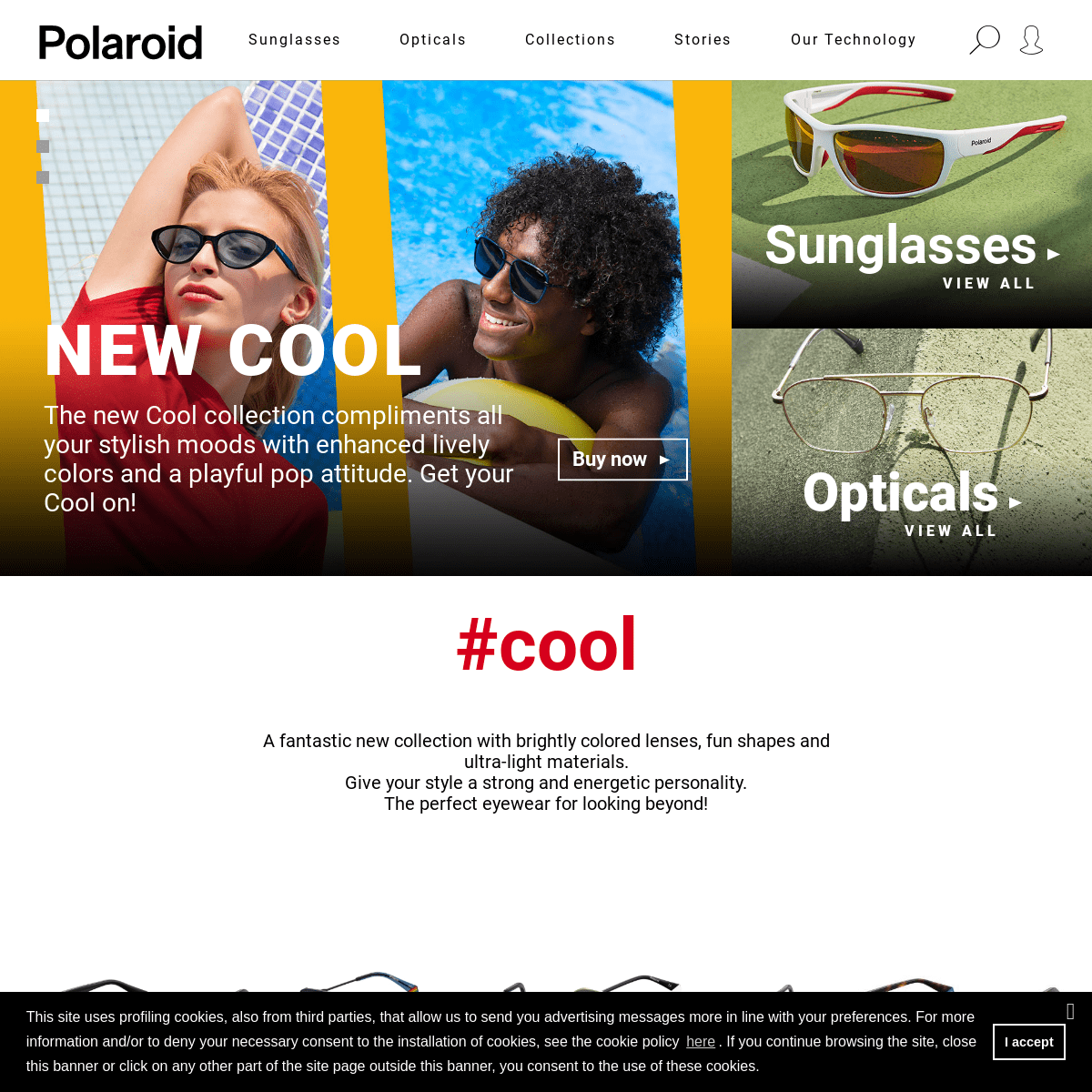 A complete backup of polaroideyewear.com