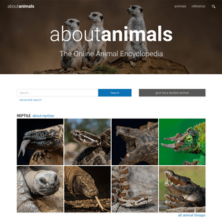 A complete backup of aboutanimals.com