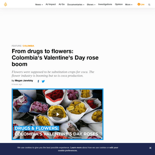 A complete backup of www.aljazeera.com/indepth/features/drugs-flowers-colombia-valentine-day-rose-boom-200213222918966.html