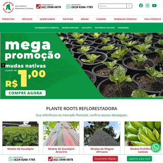 A complete backup of viveiroambiental.com.br