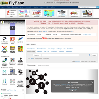 FlyBase Homepage