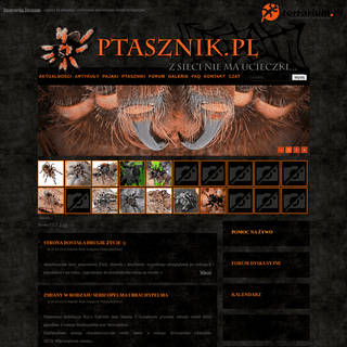A complete backup of ptasznik.pl