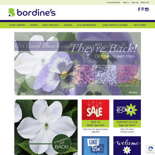 A complete backup of bordines.com