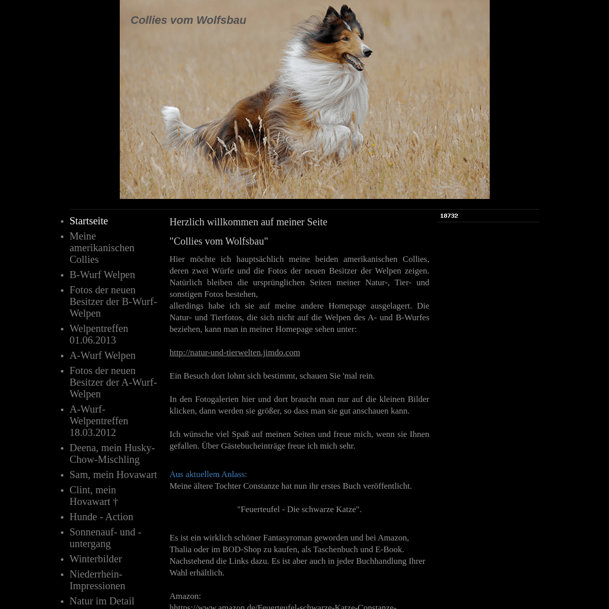 A complete backup of collies-vom-wolfsbau.jimdo.com