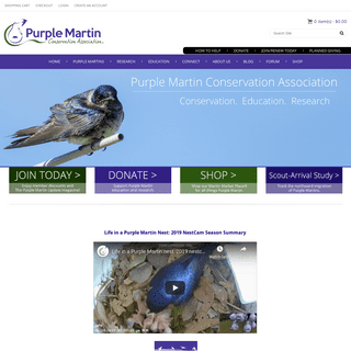 A complete backup of purplemartin.org