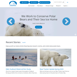 Polar Bear Facts & Conservation - Polar Bears International