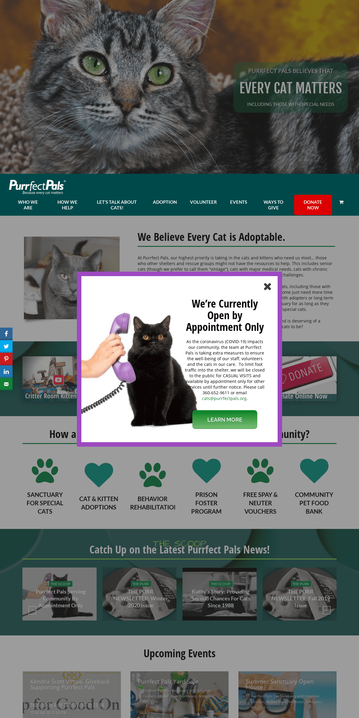 A complete backup of purrfectpals.org