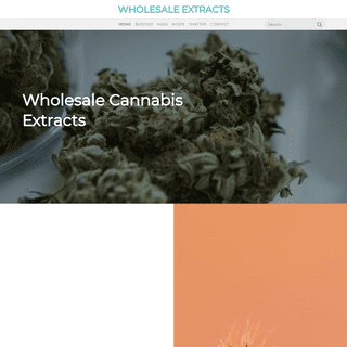 A complete backup of wholesaleextracts.co