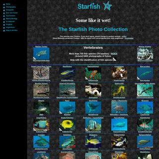 Starfish- Photos of fishes, invertebrates (molluscs, crustaceans, echinoderms, worms, corals, sponges, jellyfish and more), rept