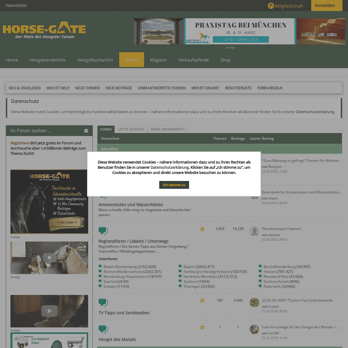 A complete backup of horse-gate-forum.com