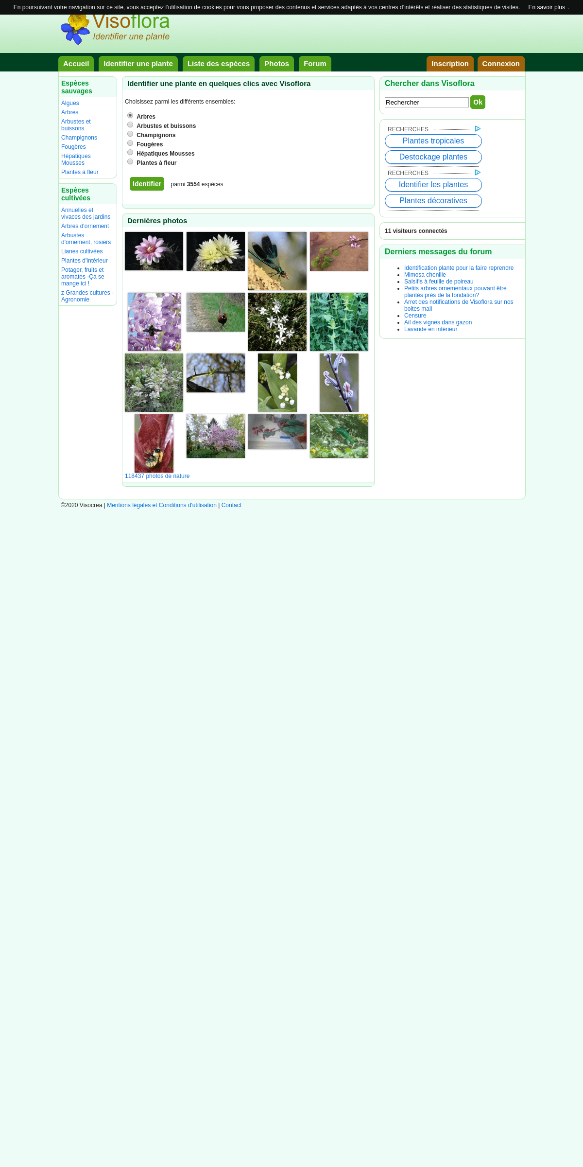 A complete backup of visoflora.com