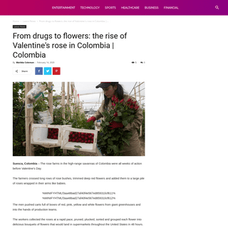 A complete backup of upnewsinfo.com/2020/02/14/from-drugs-to-flowers-the-rise-of-valentines-rose-in-colombia-colombia/