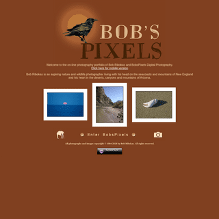 A complete backup of bobspixels.com