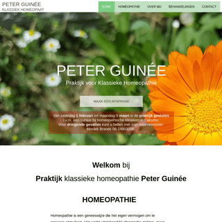 A complete backup of homeopathie-peterguinee.nl