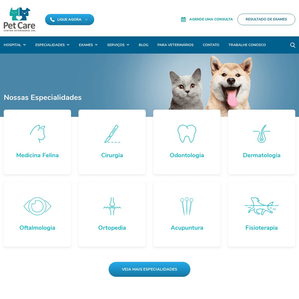 A complete backup of petcare.com.br