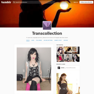 A complete backup of transcollection.tumblr.com
